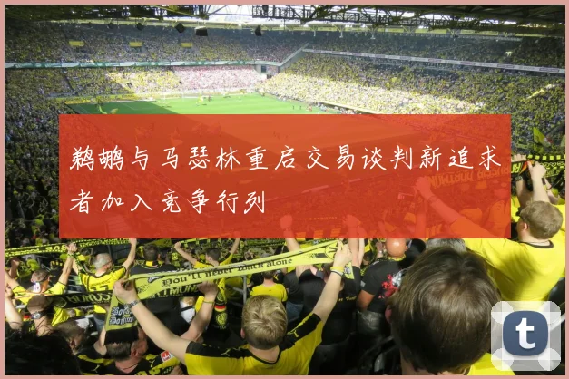 鹈鹕与马瑟林重启交易谈判新追求者加入竞争行列