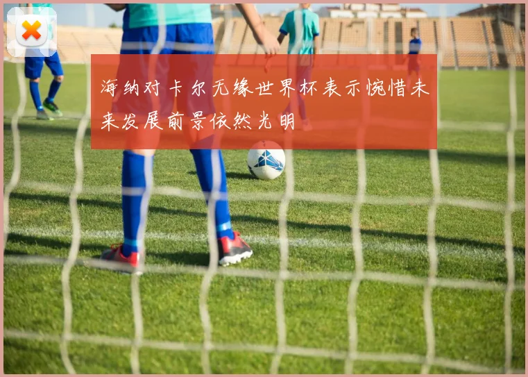海纳对卡尔无缘世界杯表示惋惜未来发展前景依然光明